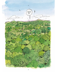 The Secret Life of Trees in Comics | Fred Bernard, Benjamin Flao, Peter Wohlleben