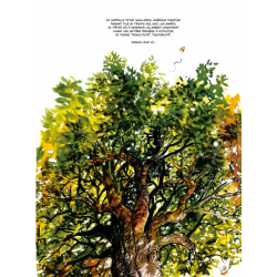 The Secret Life of Trees in Comics | Fred Bernard, Benjamin Flao, Peter Wohlleben