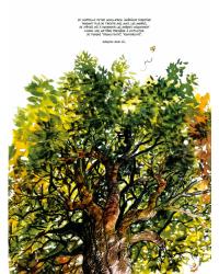 La Vie secrète des arbres en BD - broché - Peter Wohlleben, Fred