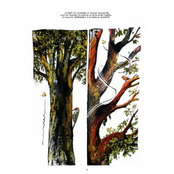 The Secret Life of Trees in Comics | Fred Bernard, Benjamin Flao, Peter Wohlleben