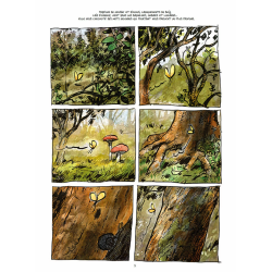The Secret Life of Trees in Comics | Fred Bernard, Benjamin Flao, Peter Wohlleben