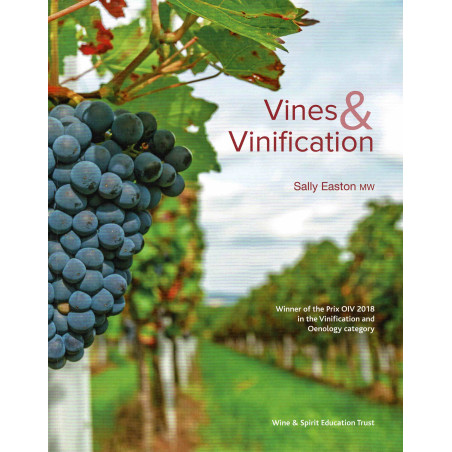 Vines and Vinification | Sally Easton MW