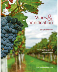 Vines and Vinification | Sally Easton MW