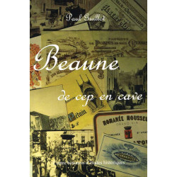 Beaune from the vineyard to...