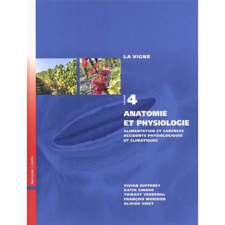 La Vigne, volume 4 : Anatomie et physiologie (French Edition) - Amtra