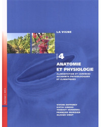 La Vigne, volume 4 : Anatomie et physiologie (French Edition) - Amtra