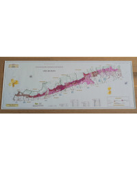 Map of the Vineyards and Climats of Burgundy: Lot of 2 posters  - The Côte de Beaune and the Côte de Nuits | Sepia