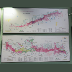 Map of the Vineyards and Climats of Burgundy: set of 2 Maps 150x58 cm of the wines of "La Côte de Beaune & la Côte de Nuits"