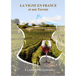 The Vine in France and its...