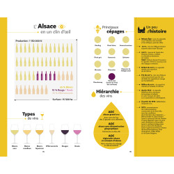 Box Set: The Hachette Wine Guide 2024 and its Cellar Book