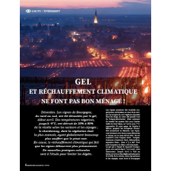 Burgundy Today Magazine No. 159 | Ecri Vin