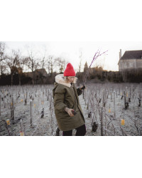 FUSÉES, the Wine & Astronomy Review on Bordeaux by Benoit Guenot & Dante Nolleau| Fuzées