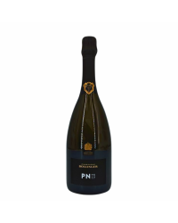 Champagne Brut "PN TX 17"| Wine from LA MAISON Bollinger