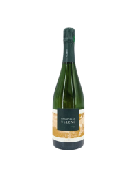 Brut Champagne "Ullens" | Wine of the Domaine de Marzilly