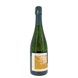 Brut Champagne "Ullens" | Wine of the Domaine de Marzilly