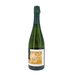 Brut Champagne "Ullens" | Wine of the Domaine de Marzilly