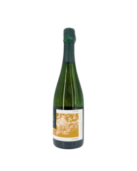 Brut Champagne "Ullens" | Wine of the Domaine de Marzilly