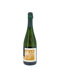 Champagne Brut "Ullens" | Vin du Domaine de Marzilly