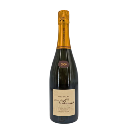 Champagne Grand Cru Blanc de Blancs "Les Mesnil" 2009| Vin de La Maison Pascal Doquet