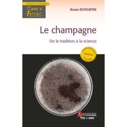 Champagne, from Tradition...