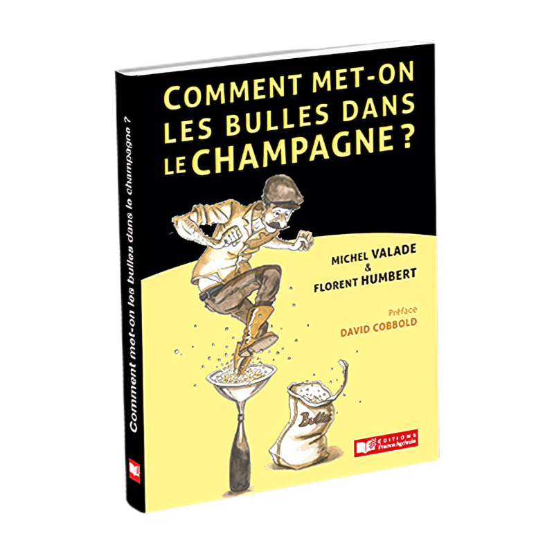 How are bubbles put into champagne? | Michel Valade, Florent Humbert
