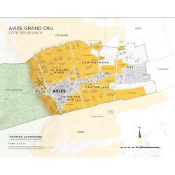 Carte du vignoble "Avize Grand Cru de la Côte des Blancs en Champagne 39x31 cm | Steve De Long