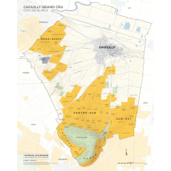 Map of the Chouilly Grand Cru vineyard in Champagne 41x51 cm |Steve De Long