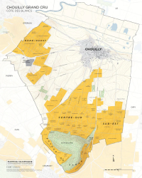 Carte murale 41x51 cm "Vignoble de Chouilly Grand Cru en Champagne" |Steve De Long