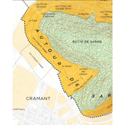 Carte murale 41x51 cm "Vignoble de Chouilly Grand Cru en Champagne" |Steve De Long