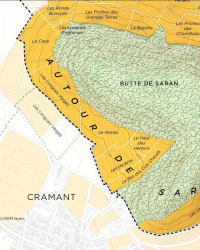 Carte du vignoble de Chouilly Grand Cru en Champagne 41x51 cm |Steve De Long
