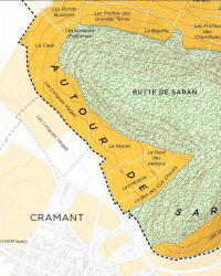 Carte murale 41x51 cm "Vignoble de Chouilly Grand Cru en Champagne" |Steve De Long