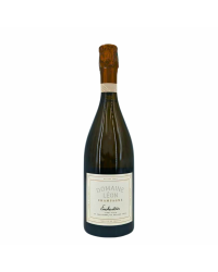 Champagne Blanc de Noirs "Entangle"| Wine from la maison Pascal Doquet