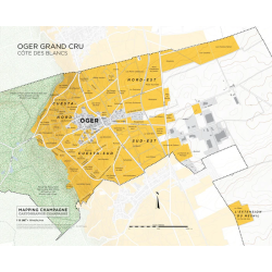 Map of the "Oger Grand Cru" vineyard of the Côte des Blancs in Champagne, 39x31 cm | Steve De Long - Charles Curtis MW
