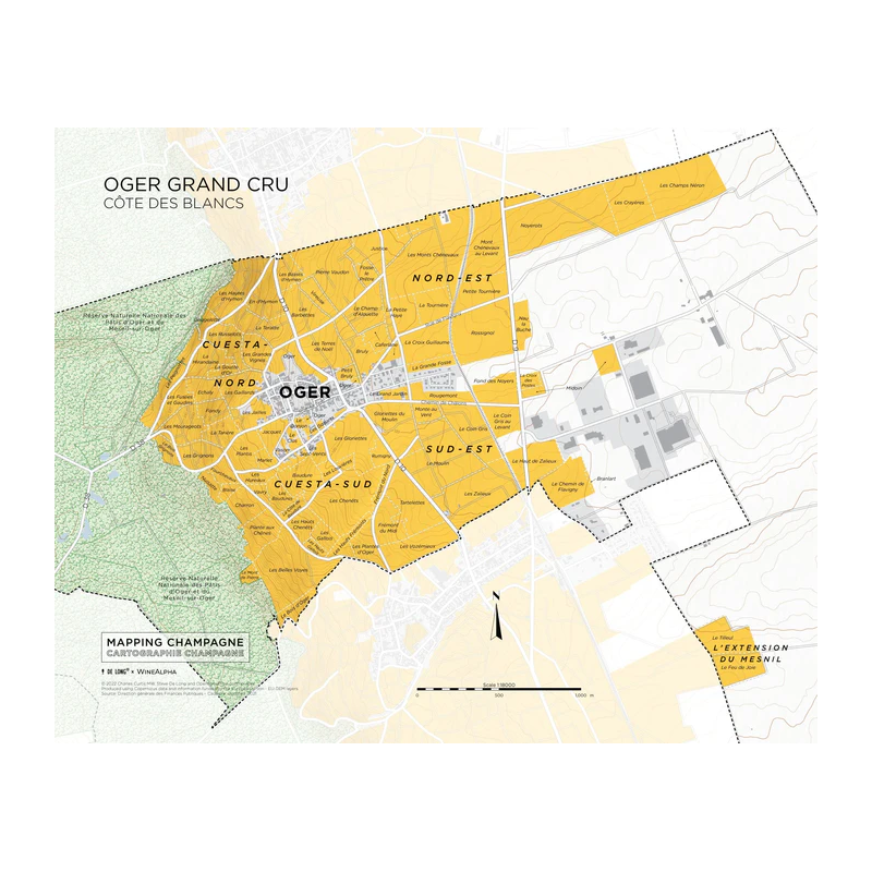 Carte du vignoble "d'Oger Grand Cru" de la Côte des Blancs en Champagne, 39x31 cm | Steve De Long - Charles Curtis MW