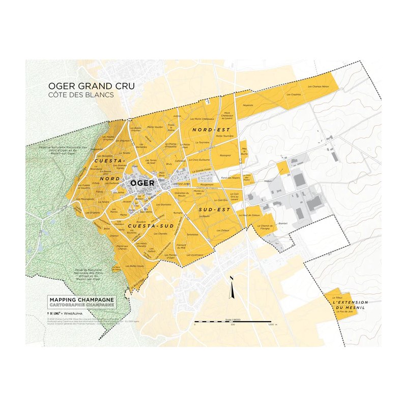 Carte murale 39x31 cm "d'Oger Grand Cru"  | Steve De Long - Charles Curtis MW