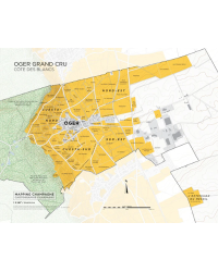 Map of the "Oger Grand Cru" vineyard of the Côte des Blancs in Champagne, 39x31 cm | Steve De Long - Charles Curtis MW