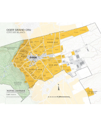 Wall Wine Map:  Oger Grand Cru in Champagne 39x31 cm by Steve De Long & Charles Curtis MW