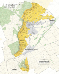 Carte murale 41x51 cm "Vignobles de Champagne : Vertus Premier Cru , Côte des Blancs" | Charles Curtis MW