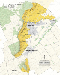 Map of Champagne vineyards : Vertus Premier Cru , Côte des Blancs 41x51 cm | Steve De Long - Charles Curtis MW