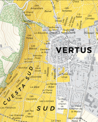 Map of Champagne vineyards : Vertus Premier Cru , Côte des Blancs 41x51 cm | Steve De Long - Charles Curtis MW
