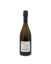 Champagne Blanc de Blancs "Blanc d'Argile" | Vin de LA MAISON Vouette & Sobrée