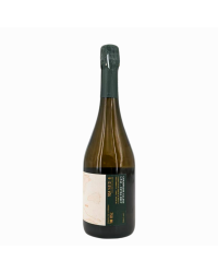Champagne Blanc de Noirs Extra-Brut "Ullens cuvée L.P.M" | Vin du Domaine de Marzilly