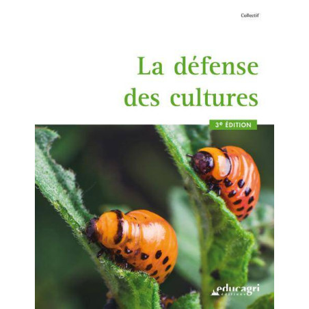 The Defense of Cultures | Éliane LACHUER