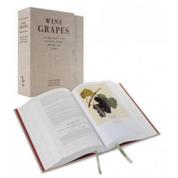 Wine Grapes | Jancis Robinson