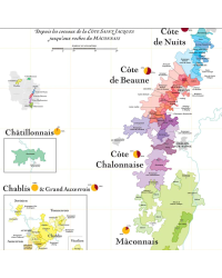 Poster "The Burgundy Wine List" 30x40 cm | The Wine List please?
