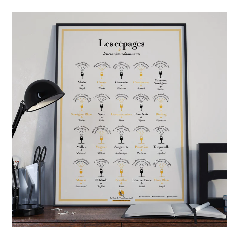 Poster "Grape varieties and their dominant aromas" 30x40 cm | The Wine List, please?