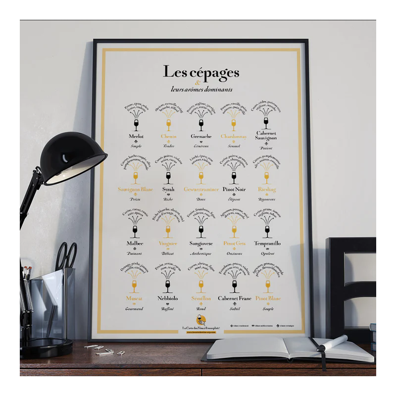 Poster 30x40 cm "Grape varieties and their dominant aromas" | The Wine List please