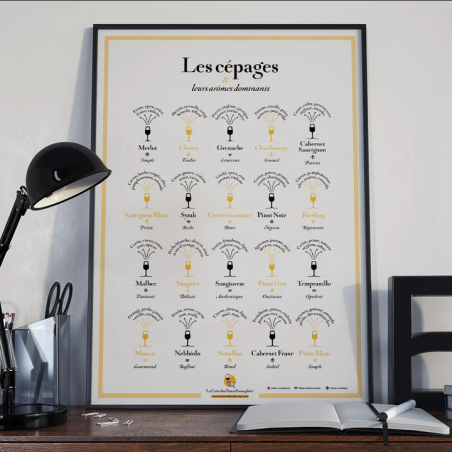 Poster 30x40 cm "Grape varieties and their dominant aromas" | The Wine List please