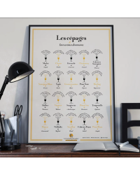 Poster "Grape varieties and their dominant aromas" 30x40 cm | The Wine List, please?