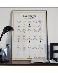 Poster 30x40 cm "Grape varieties and their dominant aromas" | The Wine List please